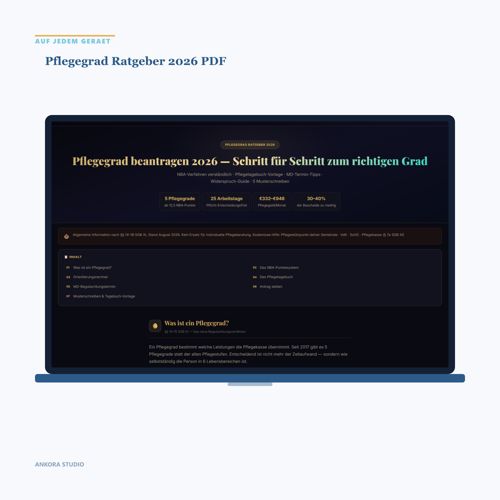 Pflegegrad Ratgeber 2026 PDF